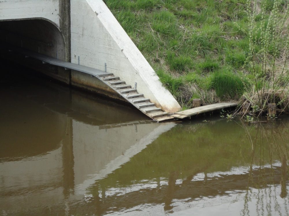 Nieuwe faunapassage onder Hartenseweg