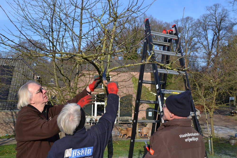 Appels en peren enten in de bijzondere boomgaard van informatiecentrum het Renkums Beekdal