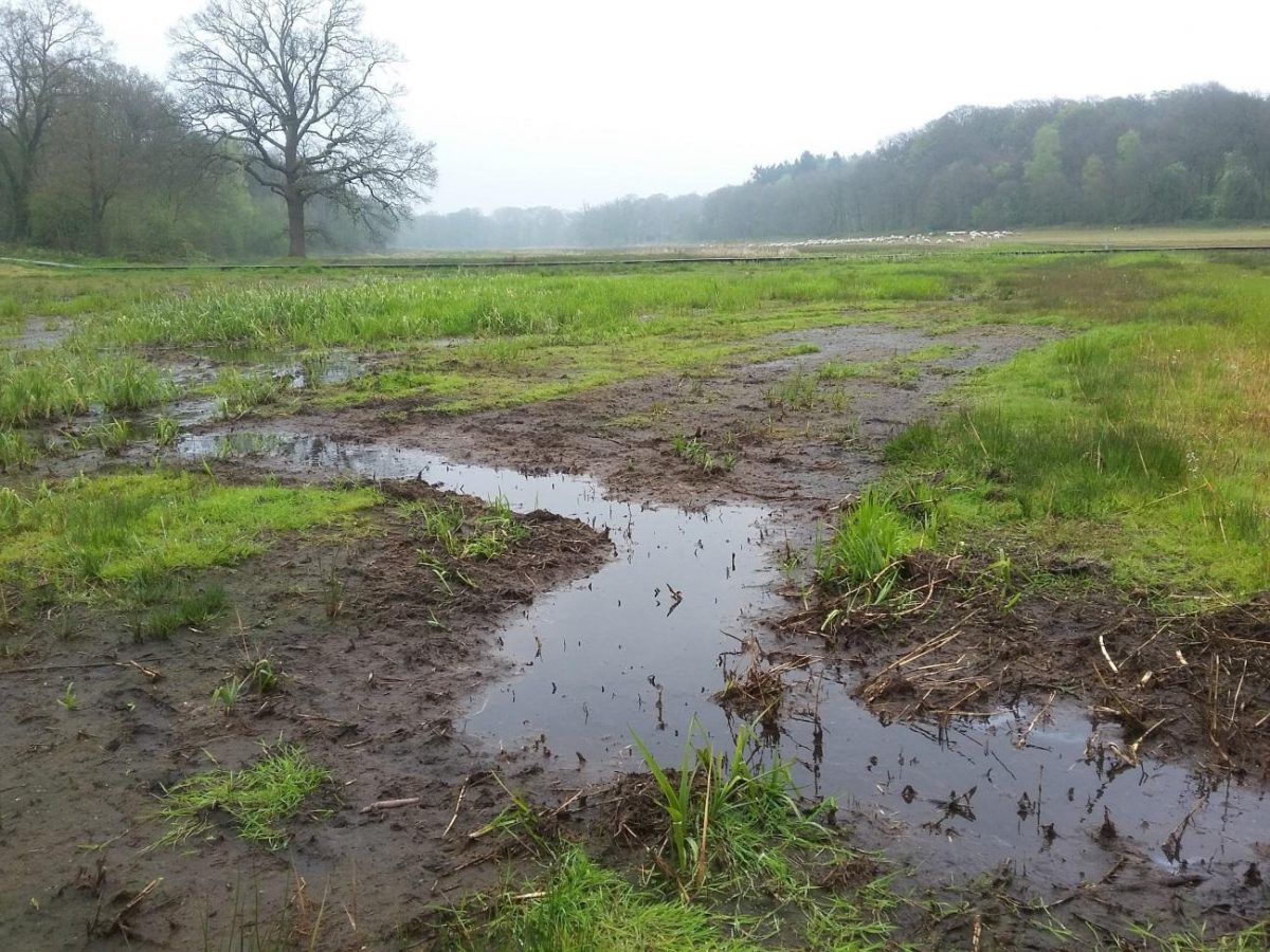 Werkzaamheden in het Renkums Beekdal