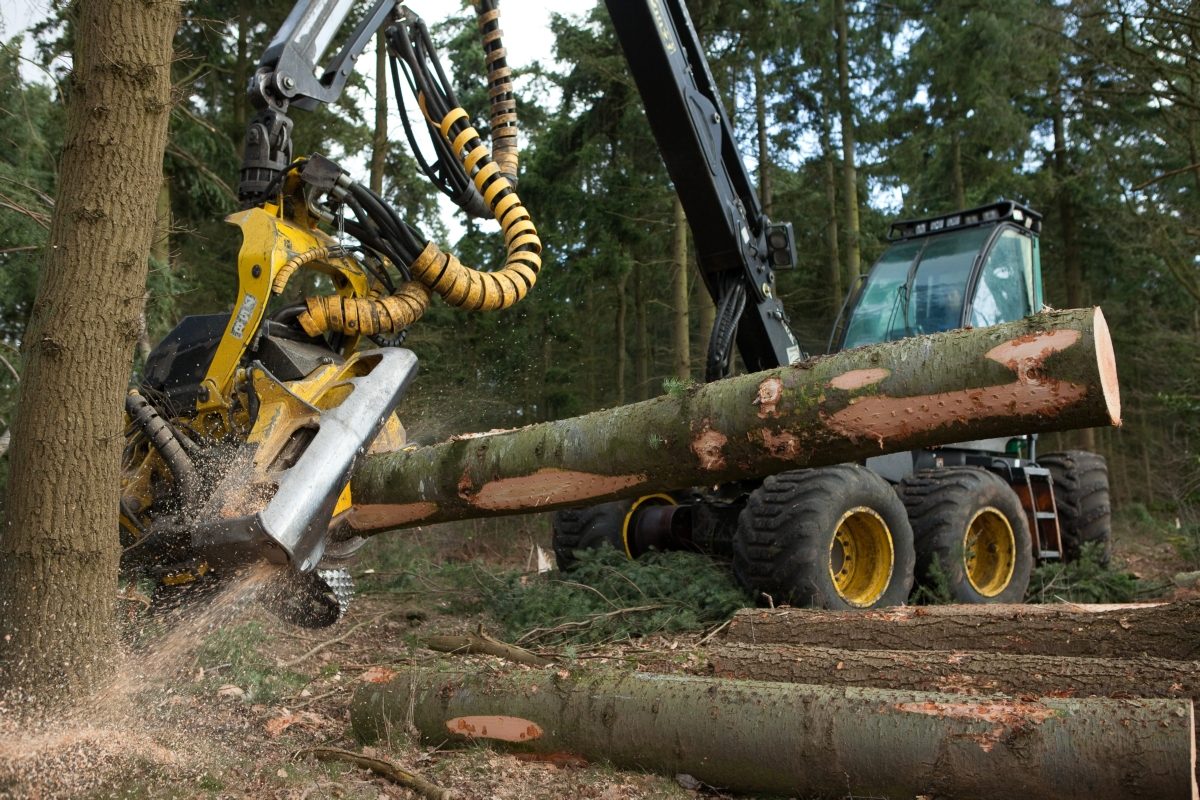 Werkzaamheden in het bos