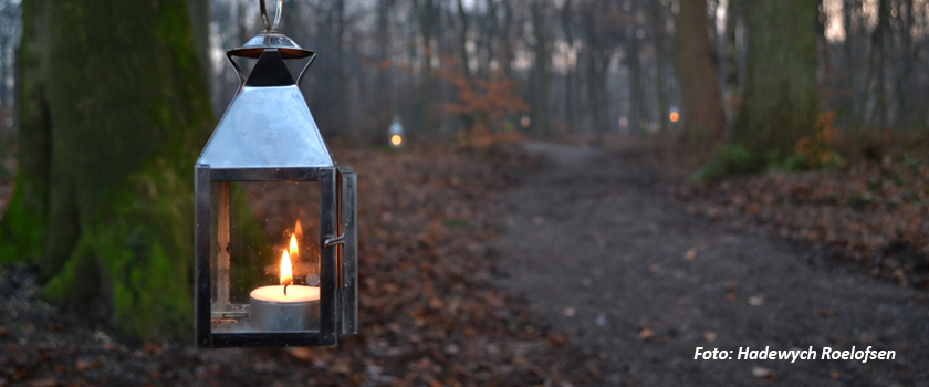 Lichtjes op een donkere winteravond