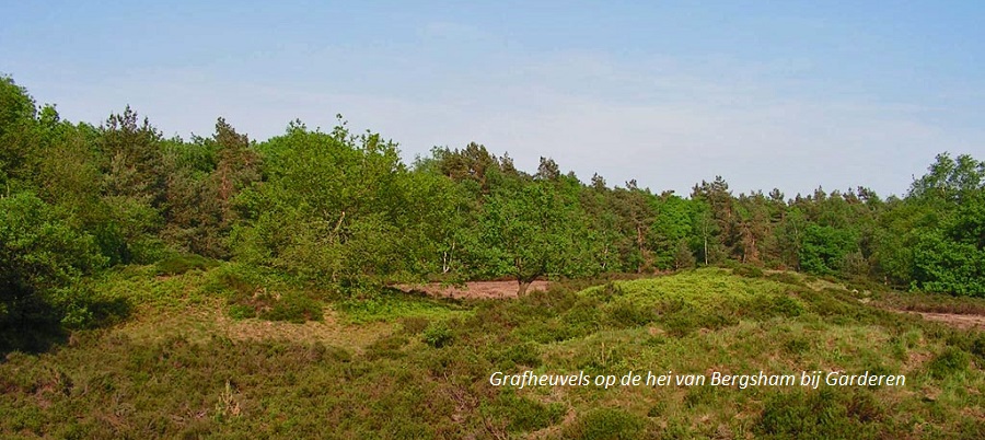 25 april lezing: Pukkels in het landschap: grafheuvels op de Veluwe