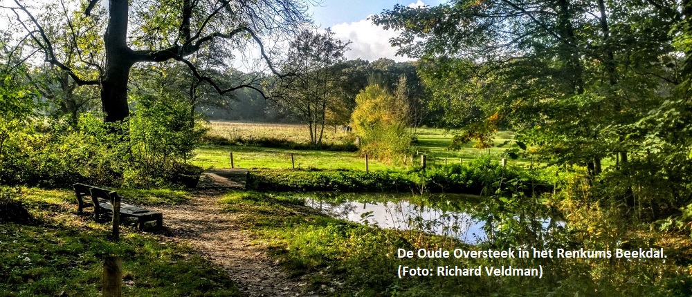 Over de verhalen van het landschap