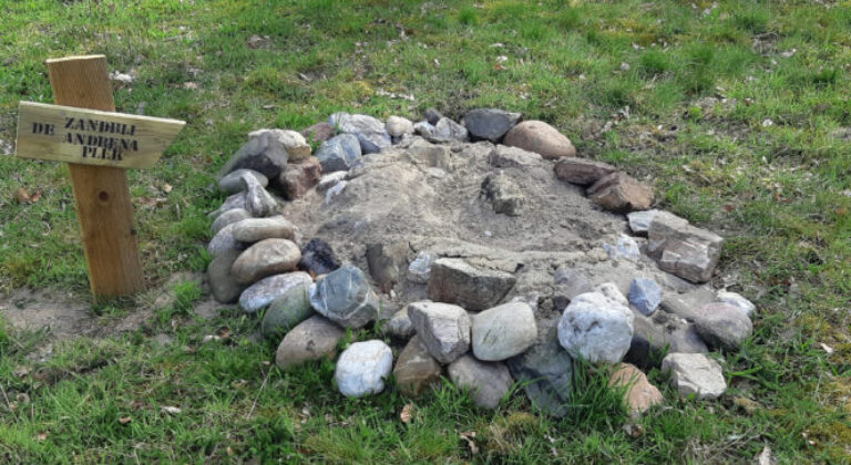 Op zoek naar de zandbij …