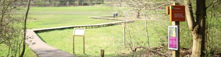 wandelpad gemaakt met vlonders