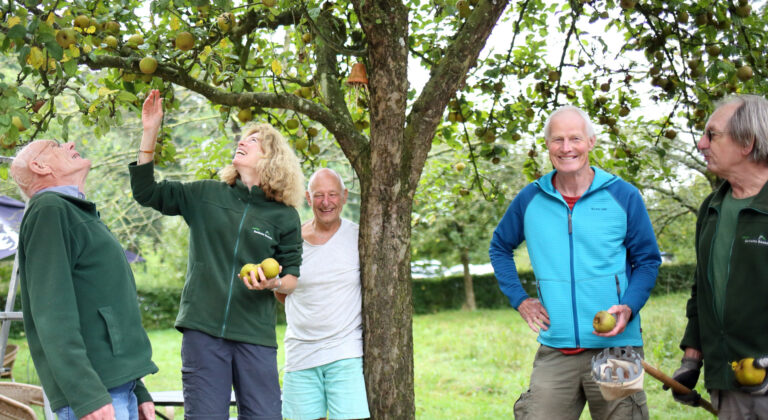 Nieuwe oogst te koop in de winkel