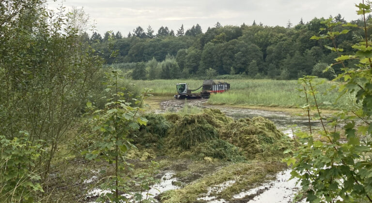 Maaien in het beekdal