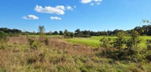 gebied Telefoonweg Renkum