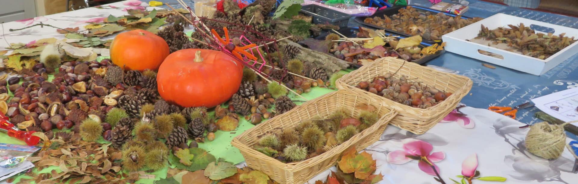 Kinderactiviteit: spelen met de herfst