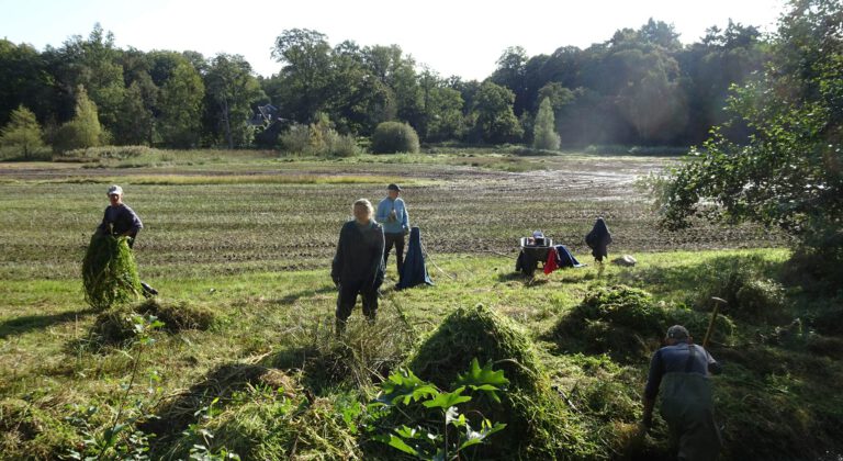 Start werkseizoen van de laarzengroep