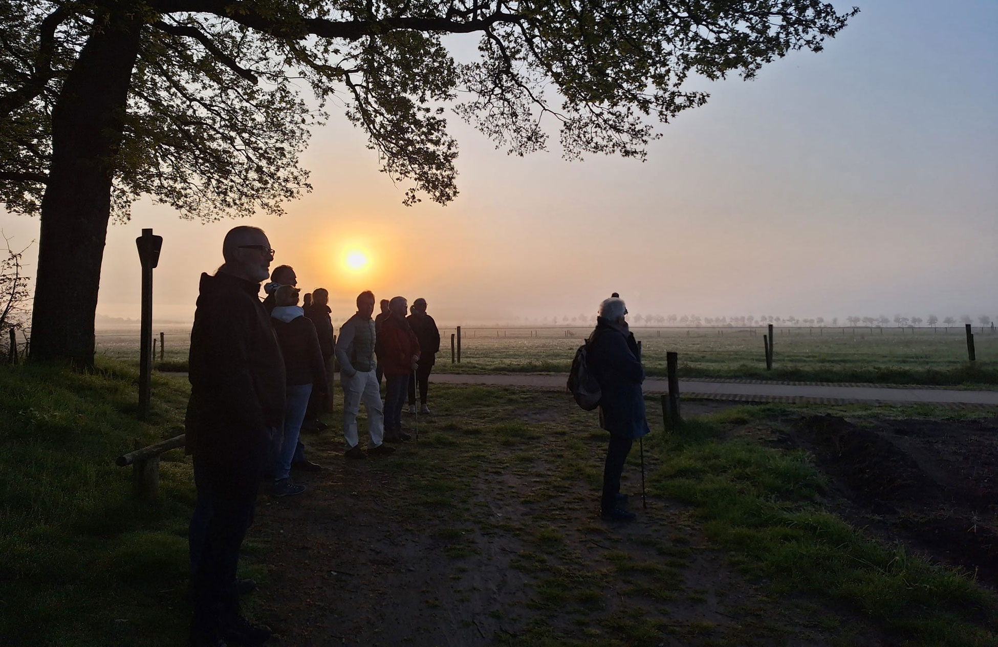 Dauwtrappen met ontbijt