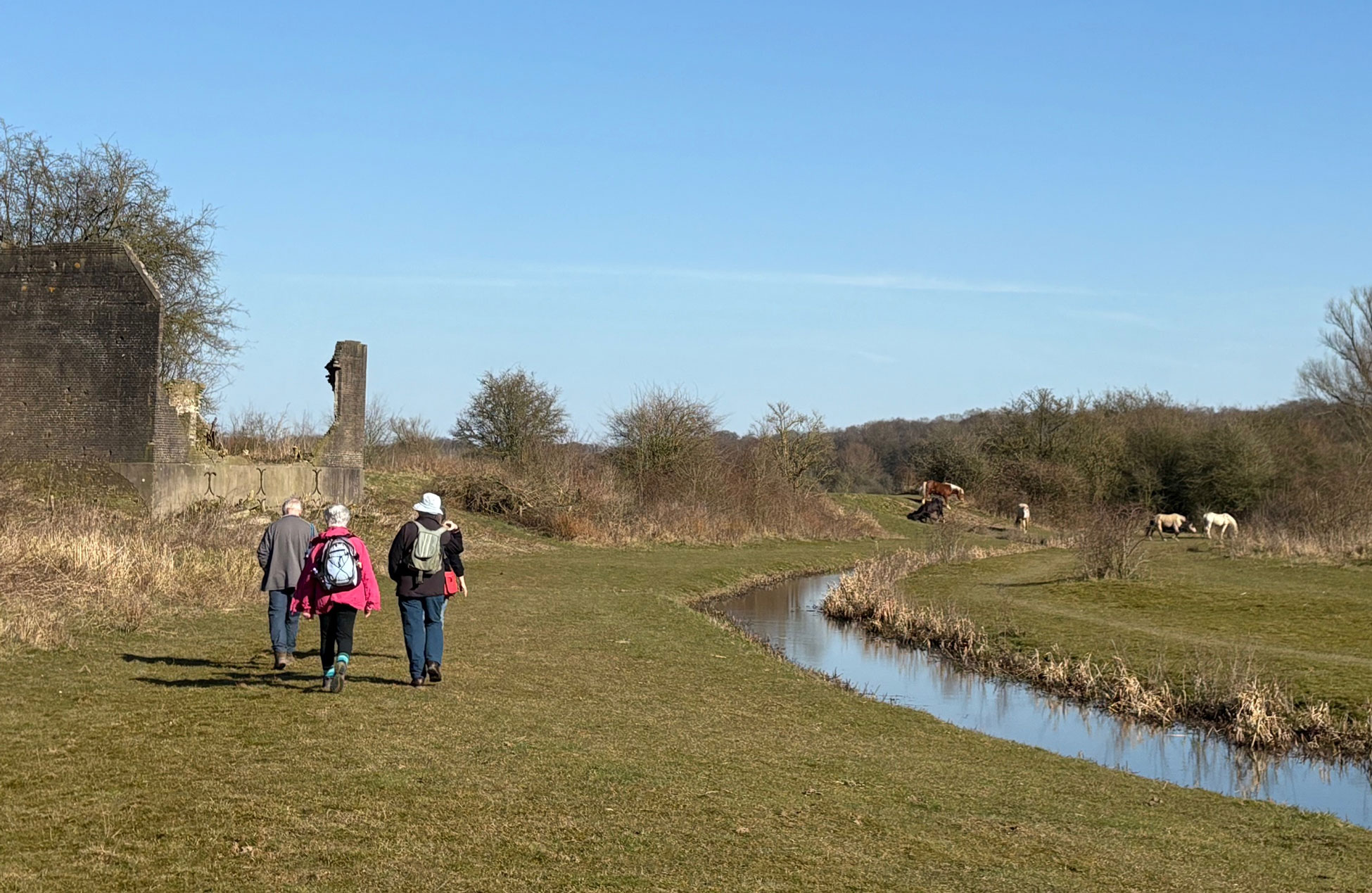 Excursie: wat groeit waar en waarom?