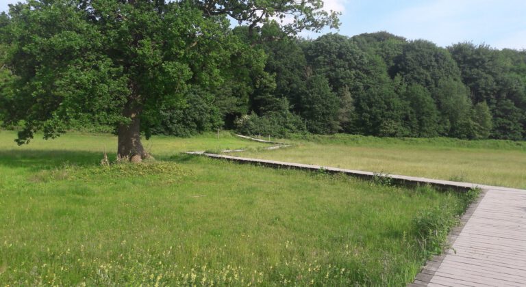 Word Natuurvriend en steun de Renkumse en Heelsumse beekdalen