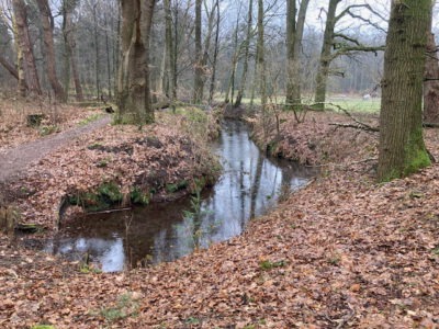 paradijsbeek