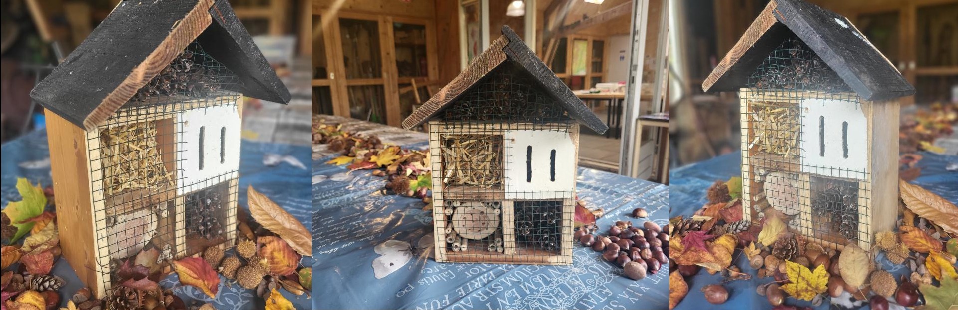 Kinderactiviteit: insectenhotel maken