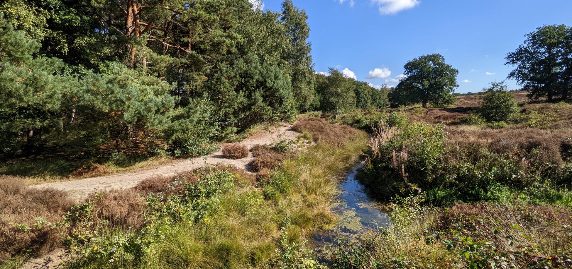 Expositie: het water in het Heelsums beekdal