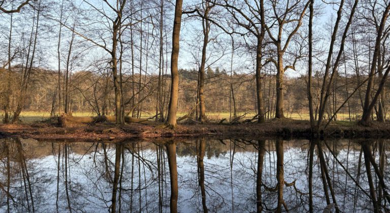 Gezocht: projectleiders en projectmedewerkers met hart voor onze beekdalen