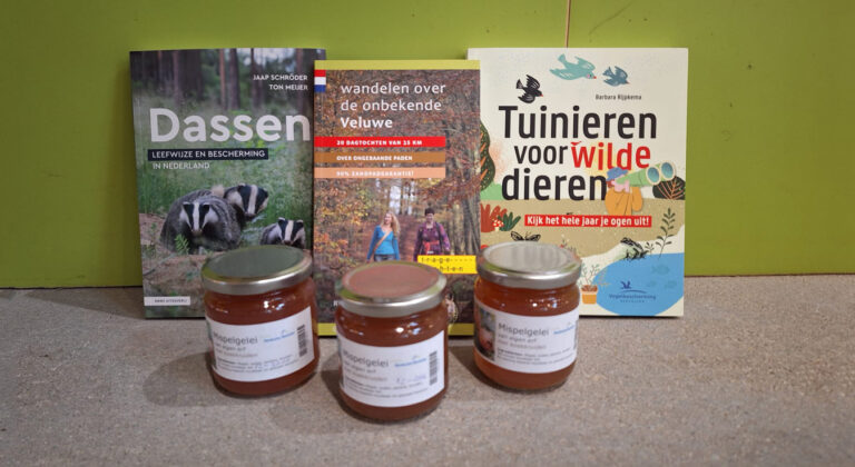 Winkelnieuws: leesvoer en lekkers