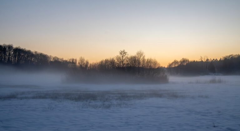 Volg onze updates over het gebiedsproces Renkumse en Heelsumse beekdalen