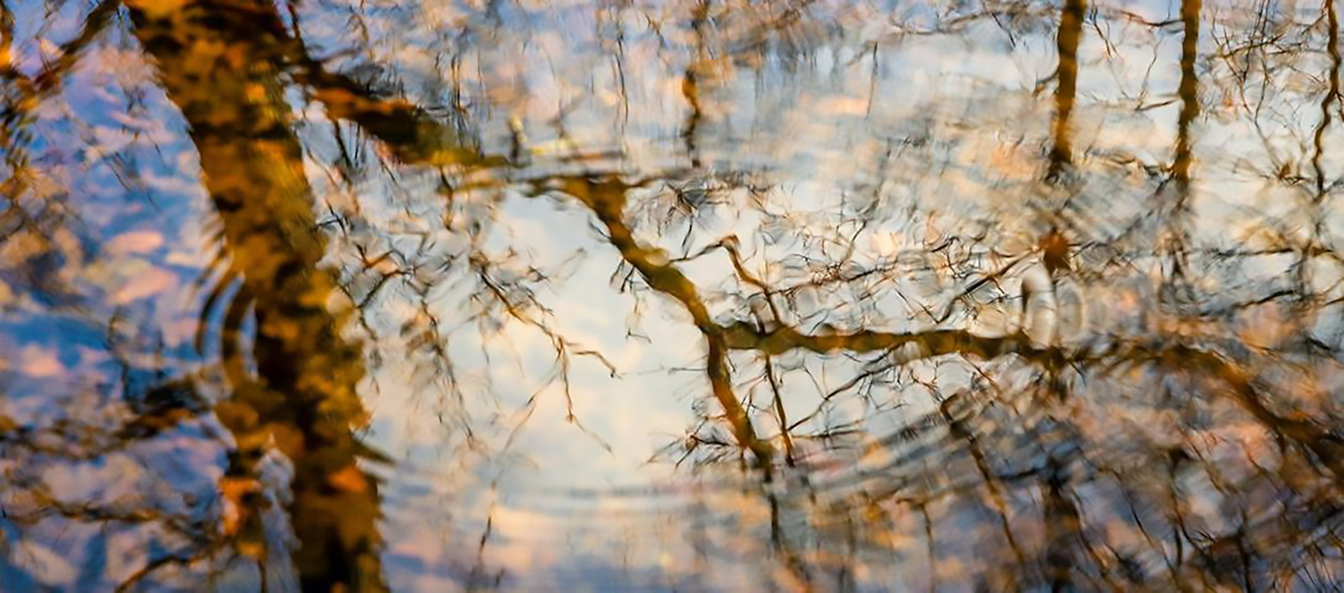 Lezing: een stem voor de beken