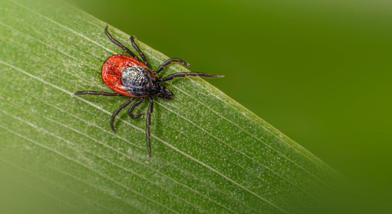 Wandelen in het Renkums beekdal? Let op teken!