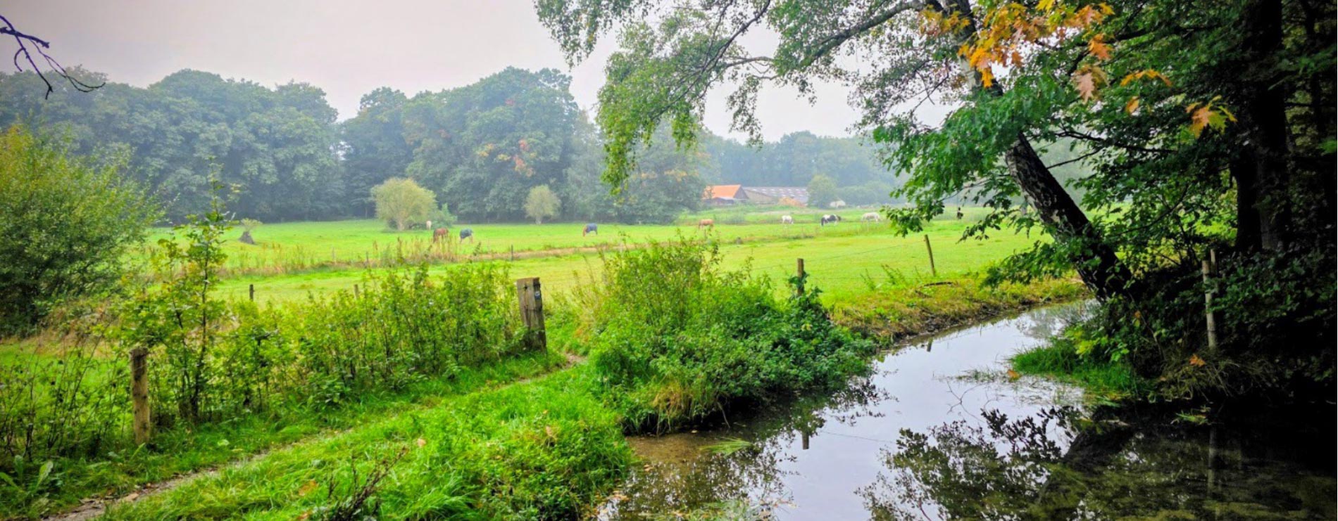 Workshop: ontdek de wereld van stikstof